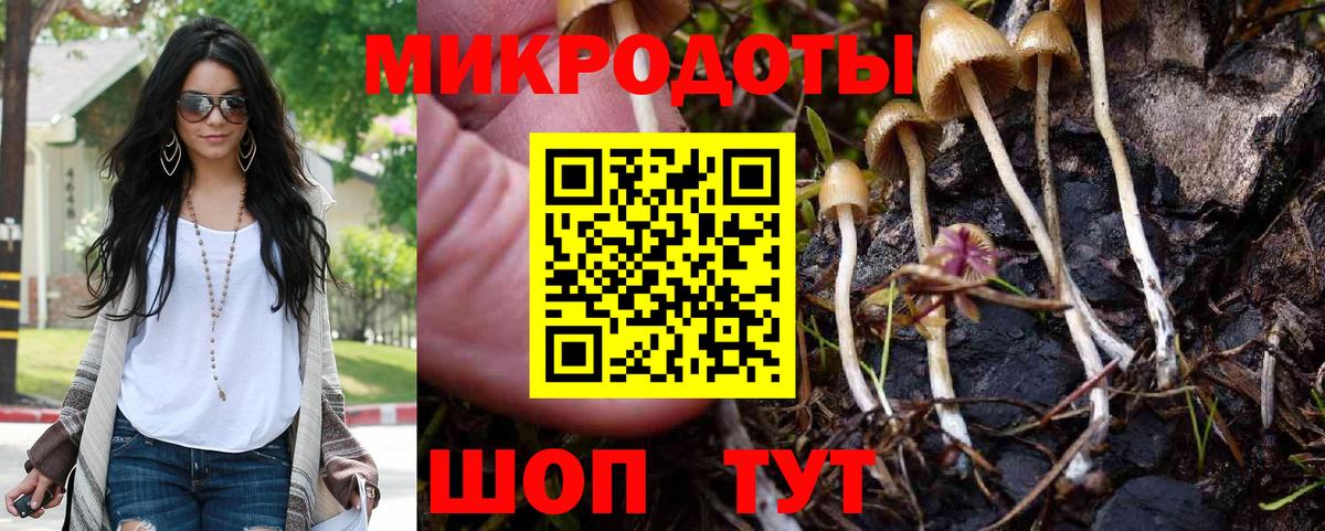 Галлюциногенные грибы Cubensis  Вход с VPN  Чебоксары 